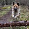 Leo10 sucht ein Zuhause