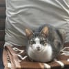 Terra sucht Dich