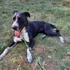 Szofia VA-Zweite Chance gesucht!