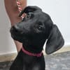 Lia9 sucht ein Zuhause
