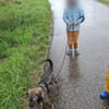 Süße Eli❤ sucht liebevolles Zuhause