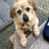 FRED - lieber kleiner Opi........