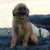Merina sucht ihr Für-Immer-Zuhause!