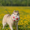 Wunderschöne Gerda