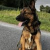 Hektar sucht seine Menschen