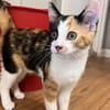 Louise (en cours d'adoption)