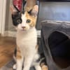 Louise (en cours d'adoption)