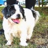 GANJI (en placement provisoire)