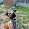 LULU