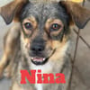 Nina e Lulù