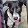 Wunderbare♥Wilma♥wartet in 04157 Leipzig