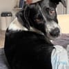 Wunderbare♥Wilma♥wartet in 04157 Leipzig
