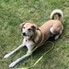 Polly sucht ihren sicheren Hafen
