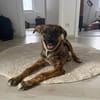 Marla sucht ihr Zuhause
