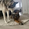 Marla sucht ihr Zuhause
