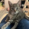 Daisy sucht ein liebevolles Zuhause