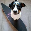 Snoopy - kleiner Spitzbub