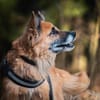 Timosha❤sucht Pflege- oder Endstelle