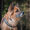 Timosha❤sucht Pflege- oder Endstelle
