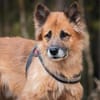 Timosha❤sucht Pflege- oder Endstelle