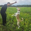 Chip  Schlauer Jungspund