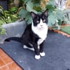 Schatz Biky in FFM(ALO)