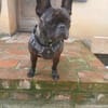 Lotti sucht ihr Traumschloss