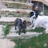 Lotti sucht ihr Traumschloss
