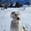 Lustige Lily - 77654 Offenburg