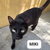 Miki