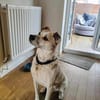 Barry