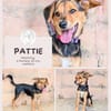 Pattie: Unser Gute-Laune-Paket