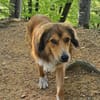 Cliff sucht -seinen Partner-