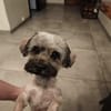 PAQUITO