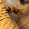 PAQUITO