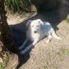 Lina möchte endlich ankommen