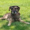 Ruhiger Jimmie sucht Frauenhaushalt