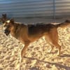 Tolle, fröhliche Cathya sucht....