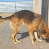 Tolle, fröhliche Cathya sucht....