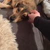 Schüchterner Zhuzhik sucht seine Familie