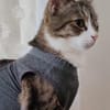 Tiberius sucht dringend ein Zuhause