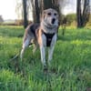 Mala sucht ruhige Familie