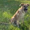 Kiara wünscht sich ein eigenes Körbchen