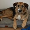 Winston wartet auf seine zweite Chance