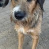 Winston wartet auf seine zweite Chance