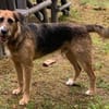 Winston wartet auf seine zweite Chance