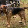 Winston wartet auf seine zweite Chance