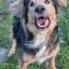 Jumper, Rohdiamant mit viel Potential