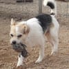 Bobby liebt das Leben