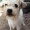 Bobby liebt das Leben
